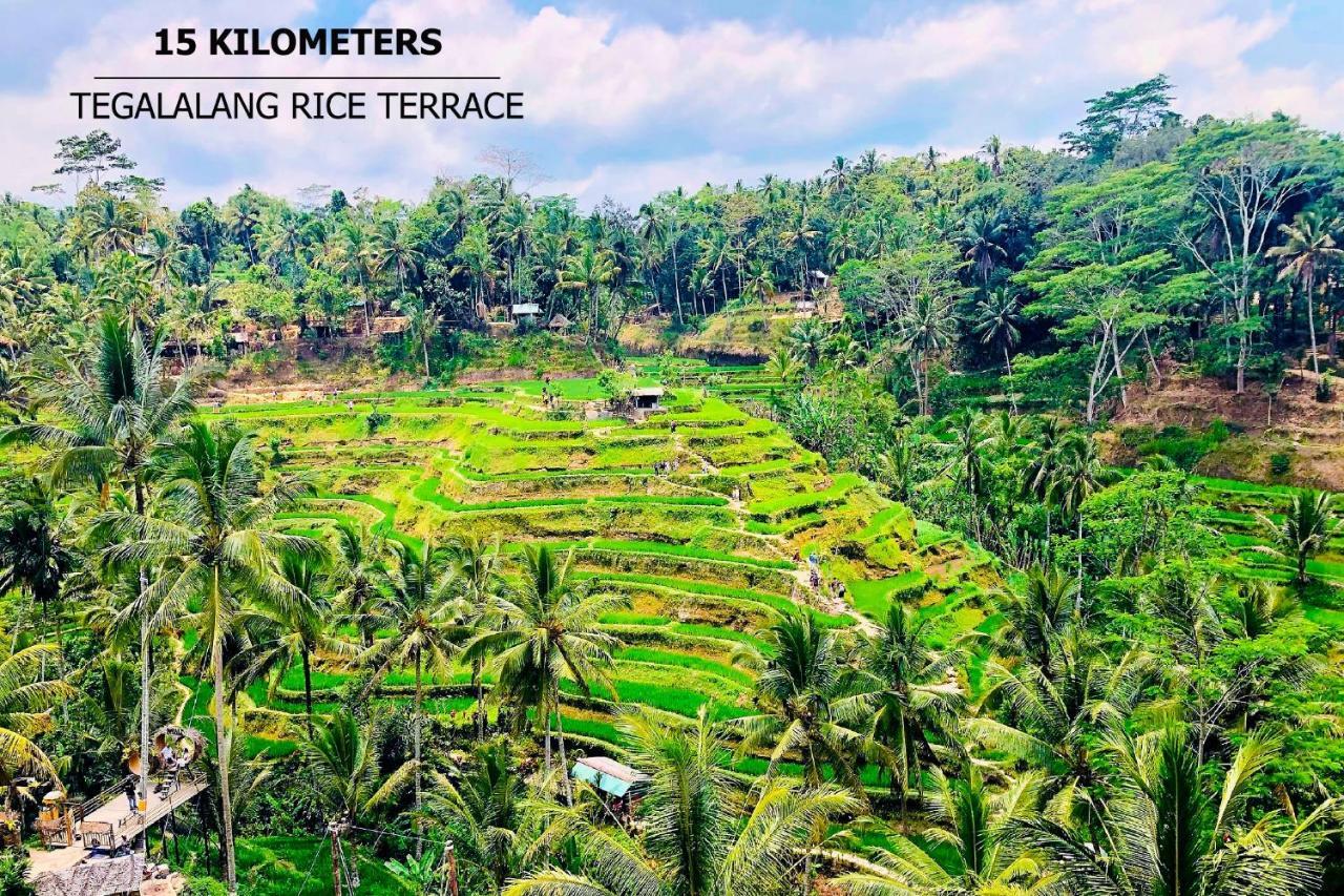 Anyuta Rai Villa Ubud Kültér fotó